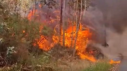 Uno de los incendios de Monfero