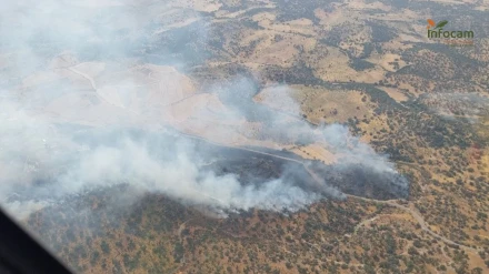Imagen aérea del incendio forestal de Navalmoralejo