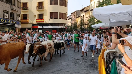 Encierro infantil San Lorenzo Huesca
