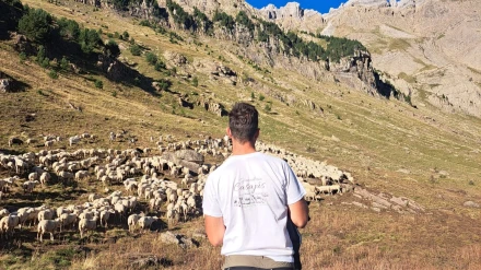 Luis Casajús, ganadero en Hecho