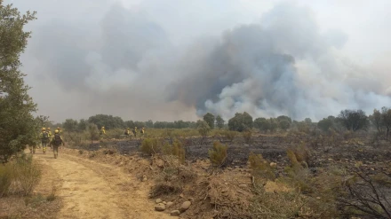 Estado que presenta uno de los flancos del incendio de Molezuelas De La Carballeda