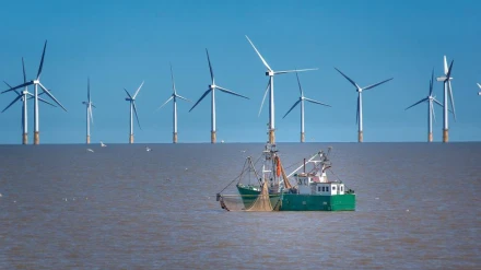 Vuelven las protestas en la Costa Tropical contra los mega parques eólicos marinos