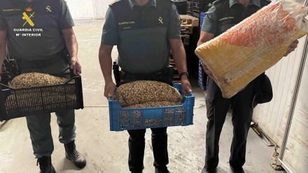 La Guardia Civil intercepta en La Rioja 430 kilos de caracoles y caracolas silvestres para su venta ilegal en Albacete