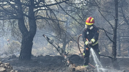 Un bombero trabajando con el fin de controlar el incendioREMITIDA / HANDOUT por EMERGENCIAS 112 MADRIDFotografía remitida a medios de comunicación exclusivamente para ilustrar la noticia a la que hace referencia la imagen, y citando la procedencia de la imagen en la firma13/8/2025