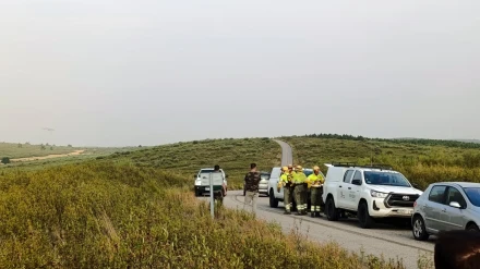 Parte del operativo en una zona de Aliste