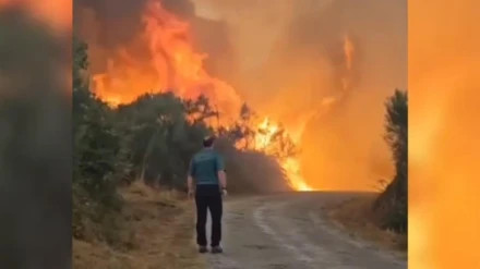 Hombre atrapado por las llamas cuando realizaba un cortafuegos en Vilariño de Conso (Ourense)