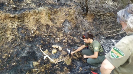 Agentes de Protección de la Naturaleza de Aragón