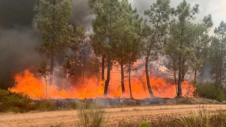 Llamas vivas del incendio forestal de Larouco (Ourense)