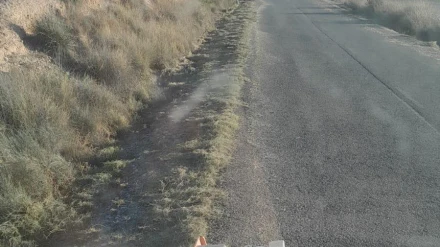 Limpieza y desbroce de caminos en Lorca