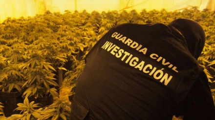 Operación antidroga