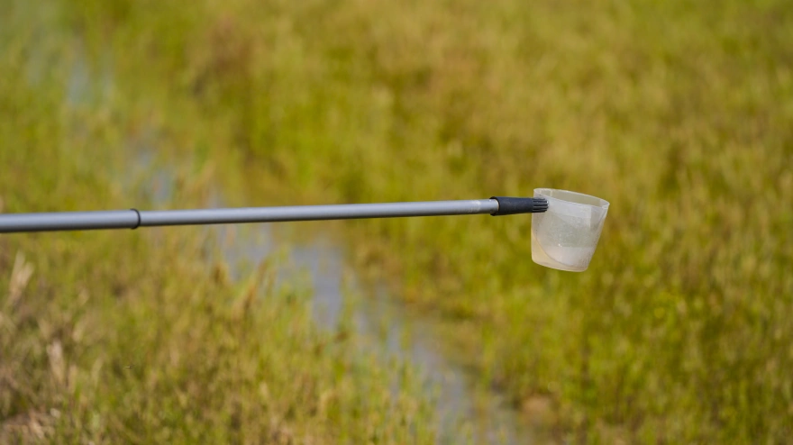 (Foto de ARCHIVO)Detalle de las maniobras de fumigación durante la Activación del protocolo de prevención y control del Virus del Nilo en la Puebla del Río, a 28 de marzo de 2025 en Sevilla (Andalucía, España). Varios meses antes la proliferación de los mosquitos, se ha activado el protocolo de prevención y control del Virus del Nilo.Joaquin Corchero / Europa Press28/3/2025