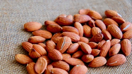 Cosecha un poco más corta, pero la calidad es "exquisita": Así llega la campaña de la almendra en La Rioja