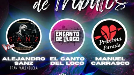 Noche de Tributos en Alcázar de San Juan