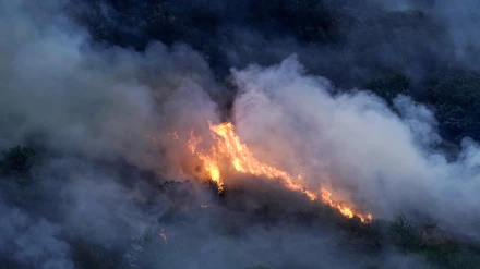 El incendio de la localidad asturiana de Tuña