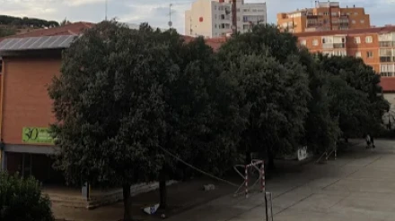 Diego Olivar, director del CEIP Pedro Gómez Bosque