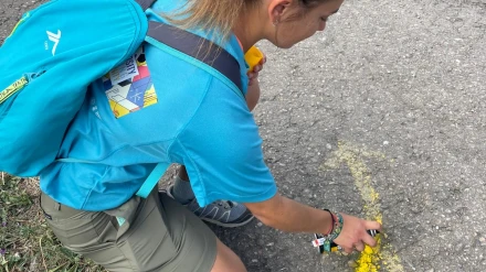 Imagen del voluntariado