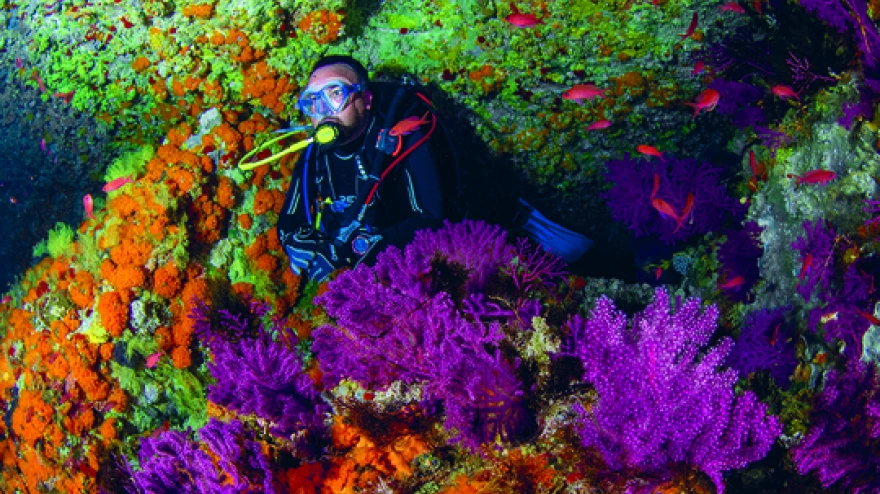 Ceuta se caracteriza por la práctica de actividades acuáticas como Snorkel y submarinismo