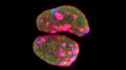 Imagen de moléculas investigadas