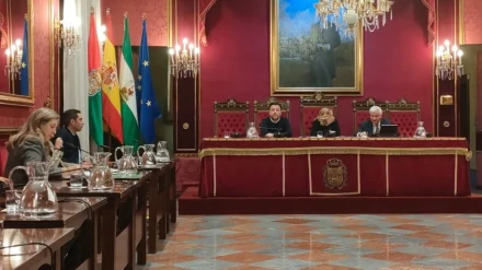 Comisión municipal de Economía y Recursos Humanos del Ayuntamiento de Granada