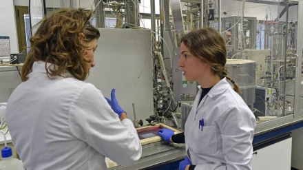 Prácticas de formación profesional