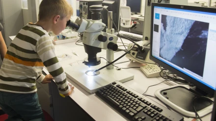 La noche europea de los investigadores, donde los niños podían realizar talleres y ver los entresijos del Cenieh