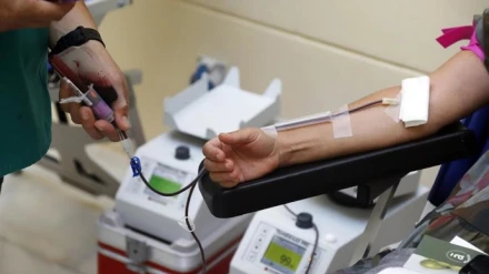 El Ayuntamiento de Málaga se transforma por un día en un centro de donación de sangre y plasma: “El reto es alcanzar las cuatrocientas”