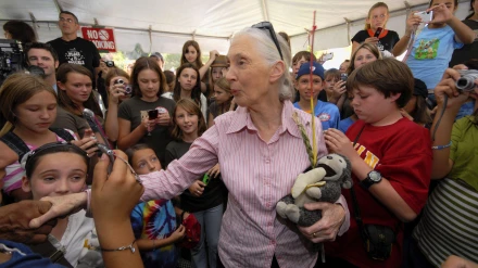 Jane Goodall