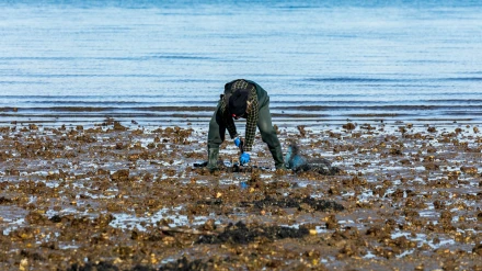 Foto de archivo de un mariscador en aguas de la ría de Ferrol