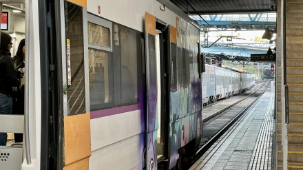 Las 175 incidencias se concentraron en 115 días distintos