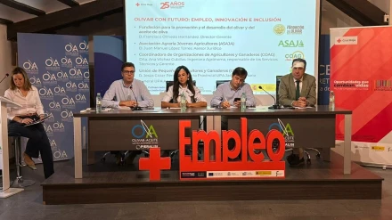 Cruz Roja Jaén apuesta por un olivar más inclusivo y sostenible