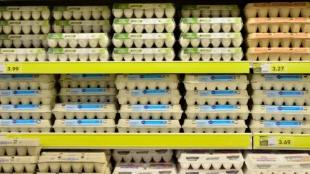 Estantería con huevos a la venta en un lineal de supermercado