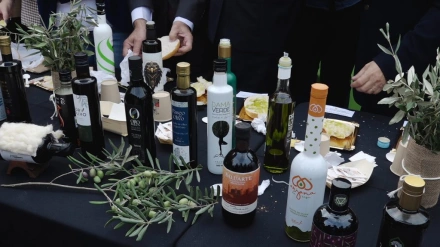 La Fiesta Anual del Primer Aceite de Jaén 2025: un homenaje al oro líquido y a la excelencia del AOVE jiennense