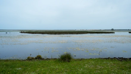 (Foto de ARCHIVO)Imágenes del Parque Nacional de Doñana. A 9 de abril de 2025 en Almonte, Huelva (Andalucía, España). La consejera de Sostenibilidad y Medio Ambiente de la Junta de Andalucía, Catalina García, ha visitado El Parque Nacional de Doñana para conocer de primera mano el estado actual de sus lagunas y zonas húmedas. Acompañada por técnicos del Espacio Natural de Doñana.Francisco J. Olmo / Europa Press09/4/2025