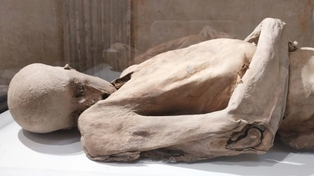 Museo de las momias de Quinto de Ebro