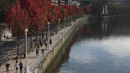 Los árboles con hoja de otoño este lunes junto a la ria de Bilbao