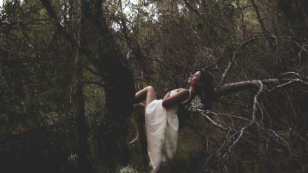 Los abrazos con el bosque