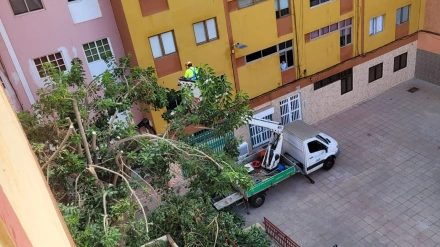 Los vecinos de Chona Madera piden más responsabilidad municipal