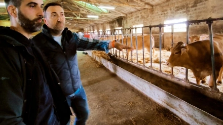 O deputado da área de Rural, Daniel García, visitou algunha das explotacións beneficiarias deste programa provincial de axudas
