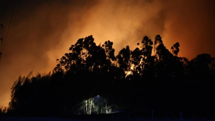Incendio forestal en el Monte Areo de Gijón, con una vivienda en primer término