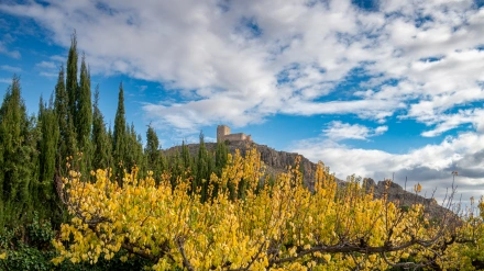 El Castillo de Jumilla, Turismo Región de Murcia