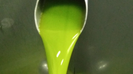 Sierra Mágina desafía a la sequía y eleva la calidad de su aceite de cosecha temprana