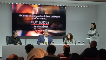 Entrevista a Enrique Pascual, presidente de la D.O. Ribera del Duero