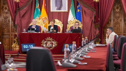 Pizarro, único Socialista que ha permanecido en el Pleno