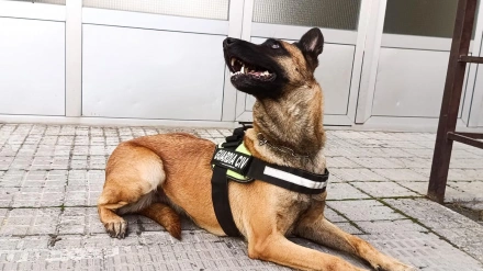 Urra, miembro del GREIM de El Barco de Ávila