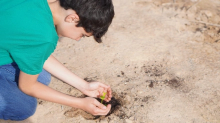 Un joven sostiene en sus manos una planta recién germinada para la recuperación del medio ambiente tras la dana