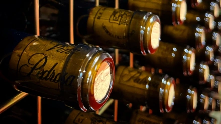 Botellas de vino Viña Pedrosa, de las Bodegas Hermanos Pérez Pascuas