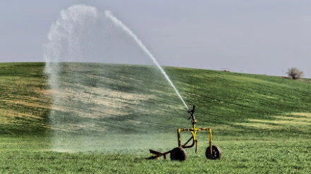 La jornada ha reflexionado sobre la adaptación de los sistemas de regadío