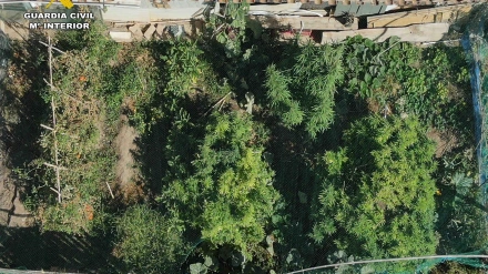 La Guardia Civil localiza en Arrúbal la vivienda de la que emanaban fuertes olores a marihuana