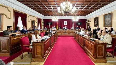 Votación en el pleno de Lugo