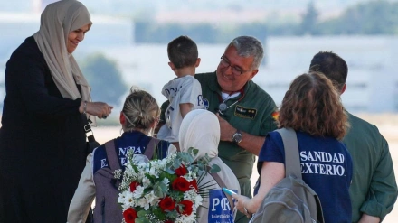 accem carolina flores